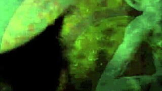 vintage erotic art collection