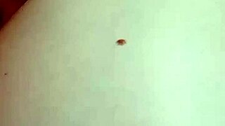 Pulling on those big natural tits