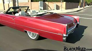 Slim Amateur Receives Big Facial From BBC