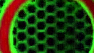 Sara Jay Plays with Nice Boobs