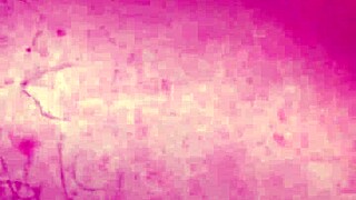 nuestro primer video porno amateur juntos