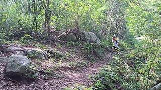 hikers get lost in jungle