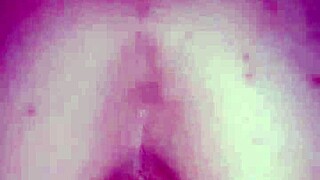 black bulls bunny ravishing ray main bunny 😏