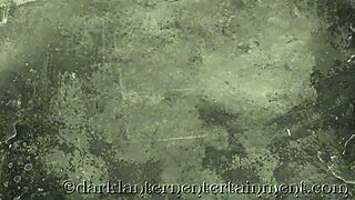 Dark Lantern Entertainment Presents Stiff As A Poker From My Secret Life The Erotic Confessions Of A Victorian English Gentleman