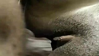 Intense Emotions in Free Use Home