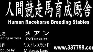 Human racehorse breeding stables feature asian mistress riding slave