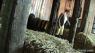 lady sonia the peeping tom at the stables