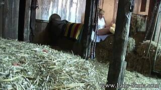 lady sonia the peeping tom at the stables