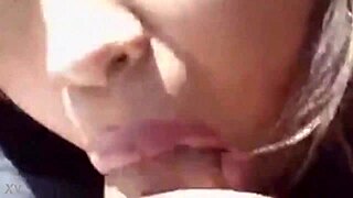 Exploring the Intriguing Project 002 Initiative