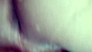 Gozando Loucamente Mz Moods