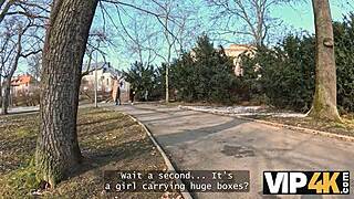 vip4k shy curvy babe amalia davis gone wild with neighbour