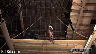 lusty collaring contrasts with ravishing sweetheart