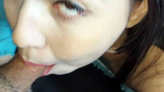 The Neighbor Offers A Warm Welcome To The New Tenant