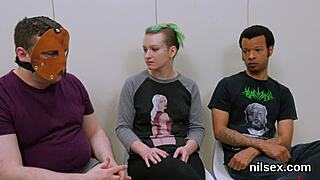 Naughty Kitten Is Brought In Asshole Asylum For Awkward Treatment