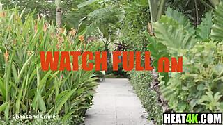 Gotcha, Cory Chase in Harley Quinn parody with Ace Bigs?