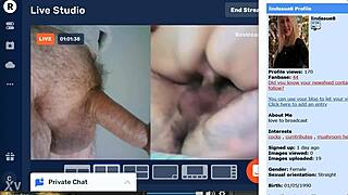 Linda's big mushroom show.