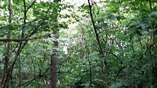 Risky Lesbian Masturbation In The Forest