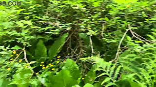 Missalinapaige Trading Cards Non-Porn Video