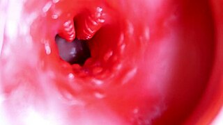 A big red cock inside a juicy hole can give sperm at any moment