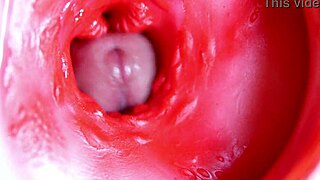 A big red cock inside a juicy hole can give sperm at any moment