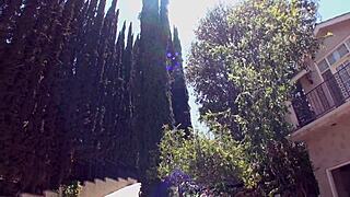 long-distance couple's outdoor sex: 'here i go, stay close'