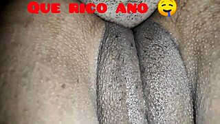 licking my ecuadorian wife's big ass and pussy on all fours 😏 full video soon on xvideos red