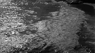 vintage erotic drawings!