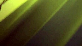 Alice Fire Lingerie Asian Blowjob