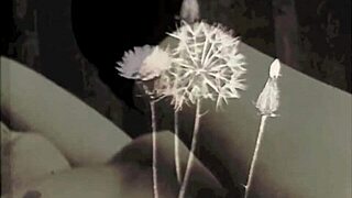 Reliving swinging sixties nostalgia 😎