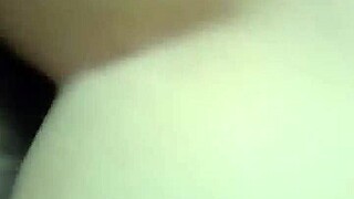 Papiochox8 Delivers An Exciting Performance With Her Talents