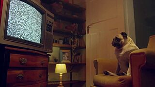 Fantasie and emily pink in wild lesbian action benefit monkey