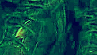 Joi Pet Play Domination Pov