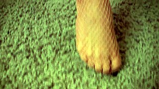 jenny welch auditions as pantyhose model in casting