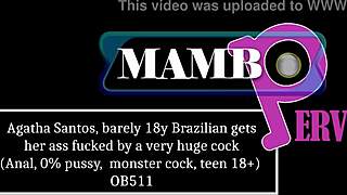 Will barely legal Brazilian Agatha survive this monster cock ass gape?