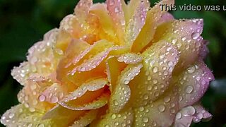 College Friend's Secret Thrusts Turn Romantic Indian Pussy Fuck Intense