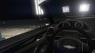 GTA 5 POV Hooker Fucks in Car for Cash Quickie