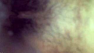 devouring my three bars sister-in-law feels so wrong but her moans drive me wild with forbidden hunger 