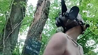 Ever seen a bound ponygirl slut bent over in forest begging for doggystyle? 