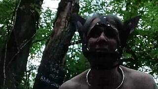 Ever seen a bound ponygirl slut bent over in forest begging for doggystyle? 