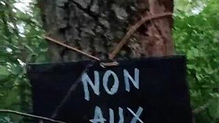 Ever seen a bound ponygirl slut bent over in forest begging for doggystyle? 