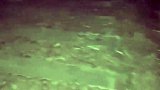 gf's massive tits slammed hardcore in steamy jungle fuck!