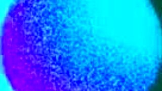 school lovers' homemade sextape shows cute slut riding big cock close up