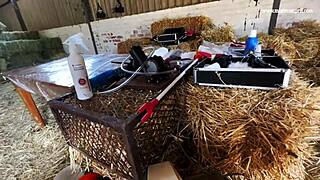 Bound Lesbian Whore Submits to Dominatrix Mistress April's Kinky Garden Pussy Fucking Domination