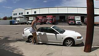 fucking tattooed milf emily parker's shaved pussy anal finger big cock cumshot facial