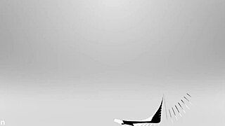 Bent Over Jessie Belle Footjobs BBC Doggystyle Pounding