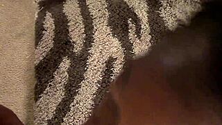 Black Babe Teases With Blowjob Toy Play In Close-Up Action