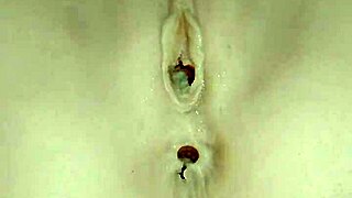 candy loves anal sex in her favorite bent over desk position with close-up gaping