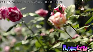 bold blonde teen bombshell sky wonderland strips outdoor showing big natural tits pussy