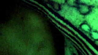 Amante's Thick Lips Crave Every Inch Deep