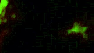 bet this horny slut squirts while deepthroating and spitting on young cock